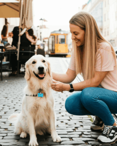 Find Trusted Pet Sitters in Prague – Quality Care for Your Furry Friends