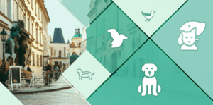Top Veterinary Suppliers Directory in Prague: Find Quality Care Today